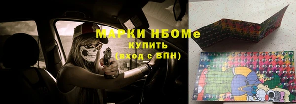 прущий лед Алзамай