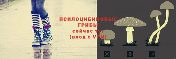 прущий лед Алзамай