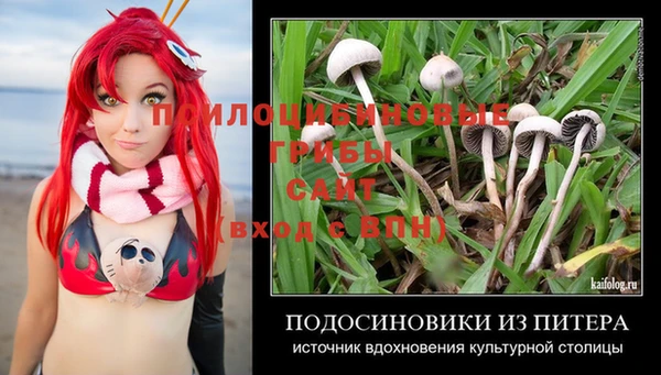 бутират Алексин