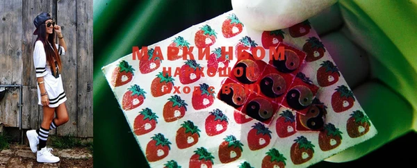 прущий лед Алзамай