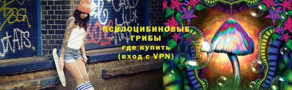 прущий лед Алзамай